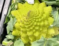 Mängden socker i Chou Romanesco