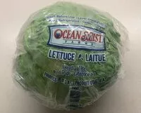 Mängden socker i Iceberg lettuce