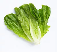 Mängden socker i Kroger, fresh selections, leafy romaine, romaine lettuce & leaf lettuces
