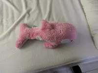 Mängden socker i orque