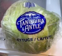 Mängden socker i Lettuce