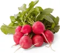 Mängden socker i Radishes