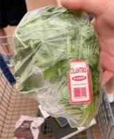 Mängden socker i Cilantro