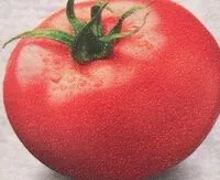 Mängden socker i Tomato ketchup