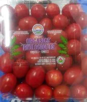 Mängden socker i Tomatoes
