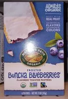 Mängden socker i Nature s path frosted buncha blueberries toaster