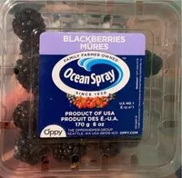 Mängden socker i Blackberries