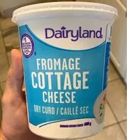 Mängden socker i Cottage cheese