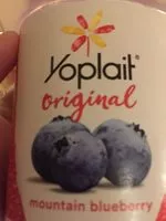 Mängden socker i Yoplait Original Mountain Blueberry Low Fat Yogurt