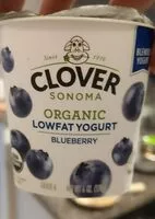 Mängden socker i blueberry low-fat Yogurt