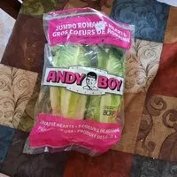 Mängden socker i Romaine Hearts