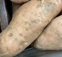 Mängden socker i Sweet potato