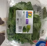 Mängden socker i Basil
