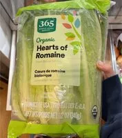 Mängden socker i lettuce