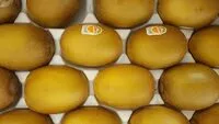 Mängden socker i kiwi jaune au kilo import