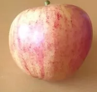 Mängden socker i Royal gala apple