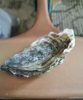 Mängden socker i Huître fine bretonnes