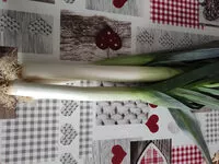 Mängden socker i Poireau