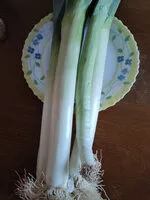 Mängden socker i Poireau