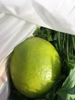 Mängden socker i citron vert