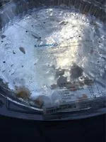 Mängden socker i Tarte rhubarbe