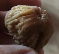 Mängden socker i figue séchée