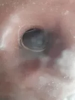 Mängden socker i Donuts