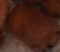 Mängden socker i Pain au chocolat