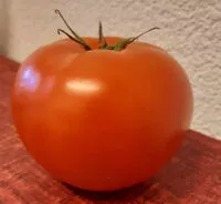 Mängden socker i Fleischtomaten