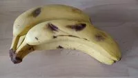 Mängden socker i Bananes Cavendish