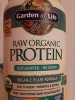 Mängden socker i Raw organic protein