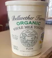 Mängden socker i Organic Plain Whole Milk Yogurt