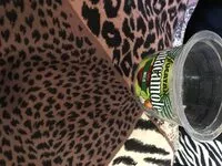 Mängden socker i 95% avocado guacamole