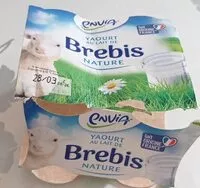 Mängden socker i Yaourt au lait de brebis