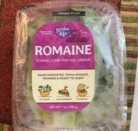 Mängden socker i Romaine lettuce