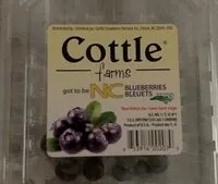 Mängden socker i Blueberries