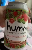 Mängden socker i Elderberry Kombucha