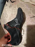 Mängden socker i puma