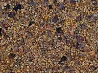 Mängden socker i Curry