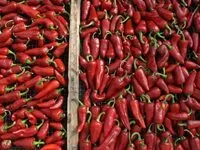 Mängden socker i Baskischer Chilli