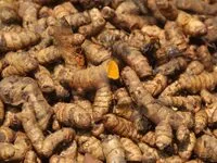 Mängden socker i Kurkuma