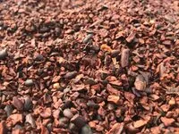 Mängden socker i Kakaobohnen-Nibs