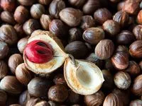 Mängden socker i Muskatnuss