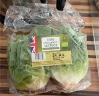 Mängden socker i Lettuce