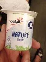 Mängden socker i Yaourt nature
