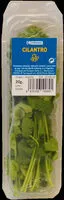 Mängden socker i Cilantro