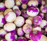 Mängden socker i Turnip Root - Fresh