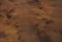 Mängden socker i Brownie chocolat