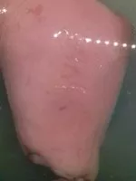 Mängden socker i Jarret de porc demi sel