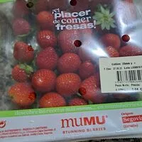 Mängden socker i Fresas